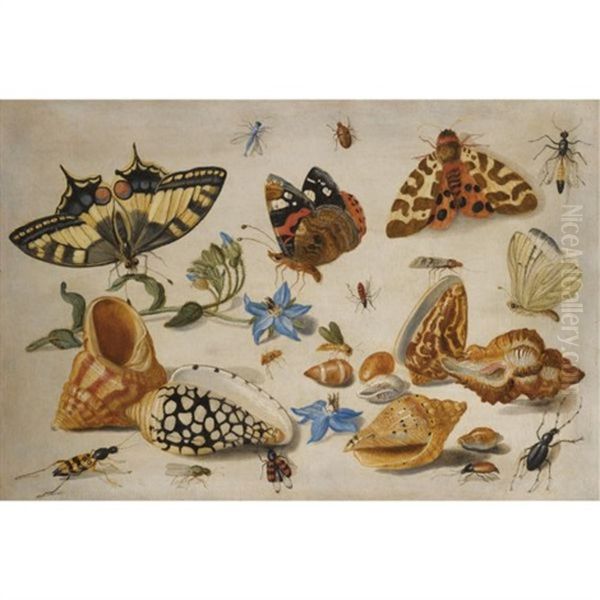 A Swallowtail (papilio Machaon), Red Admiral (vanessa Atalanta) And Other Insects With Shells And A Sprig Of Borage (borago Officinalis) Oil Painting by Jan van Kessel the Elder