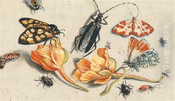 Stillleben Aus Blumen Und Insekten Oil Painting by Jan van Kessel the Elder