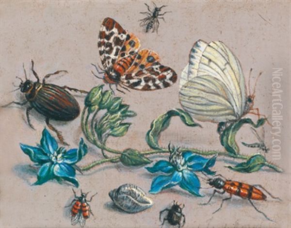 Stillleben Mit Blumen, Insekten Und Einer Muschel Oil Painting by Jan van Kessel the Elder