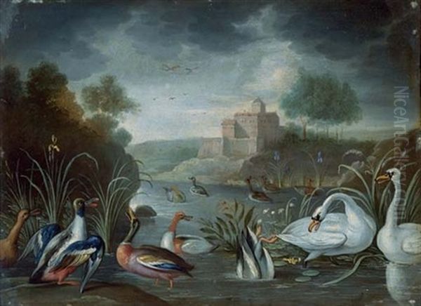 Canards Et Cygnes Dans Un Lac A Fond De Chateau Oil Painting by Jan van Kessel the Elder