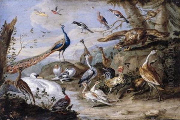 An Eagle, Peacocks, Doves, Herons, A Cockerel, A Hen, A Mallard, A Swan And Other Birds On A Riverbank Oil Painting by Jan van Kessel the Elder