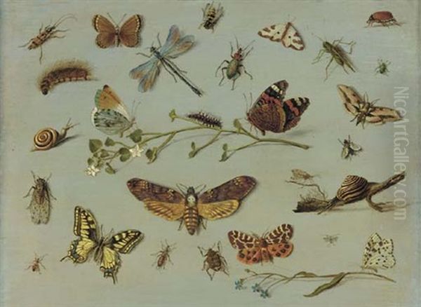 A Death's Head Moth, A Red Admiral, A Caterpillar And An Orange-tip Butterfly On A Sprig Of Jasmine, A Swallowtail Butterfly, A Garden Tiger Moth, A Scarab And Other Insects And Snails Oil Painting by Jan van Kessel the Elder