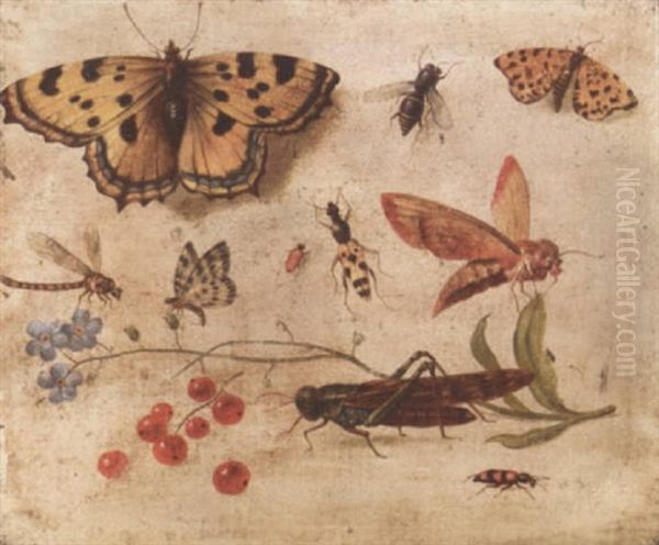 Butterflies, A Moth, A Cricket, A Dragonfly, A Beetle And Berries Oil Painting by Jan van Kessel the Elder