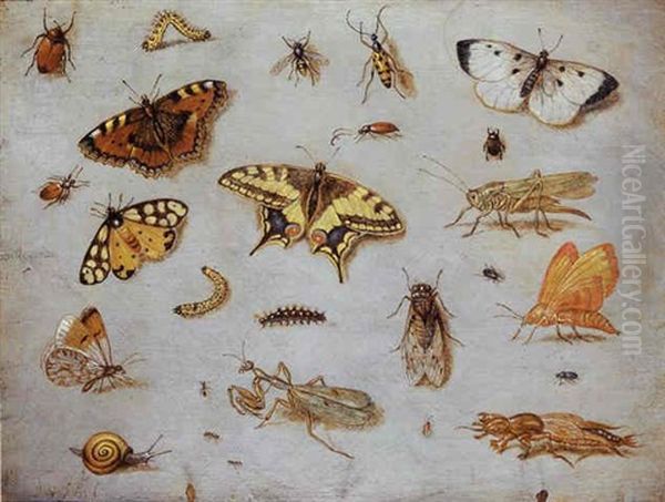 A Large Cabbage White, A Swallowtail And A Small Tortoiseshell Butterfly, A Garden Tiger Moth, A Chafer And Other Insects Oil Painting by Jan van Kessel the Elder