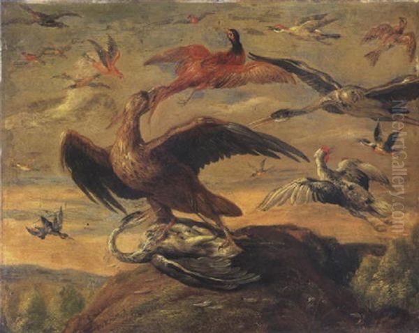 Oiseaux Oil Painting by Jan van Kessel the Elder