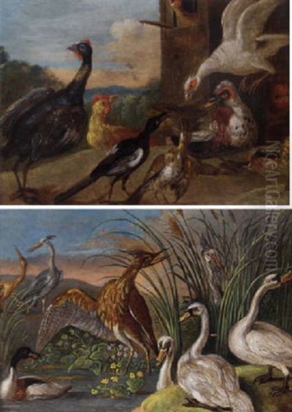 Guineafowl, A Magpie, A Muscovyduck And Other Fowl In A Farmyard Oil Painting by Jan van Kessel the Elder