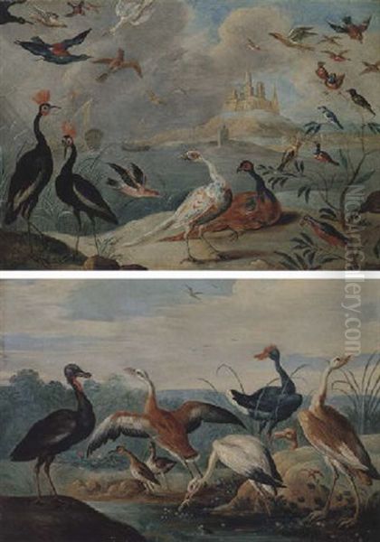 Pheasants And Various Other Fowl In A Coastal Landscape Oil Painting by Jan van Kessel the Elder