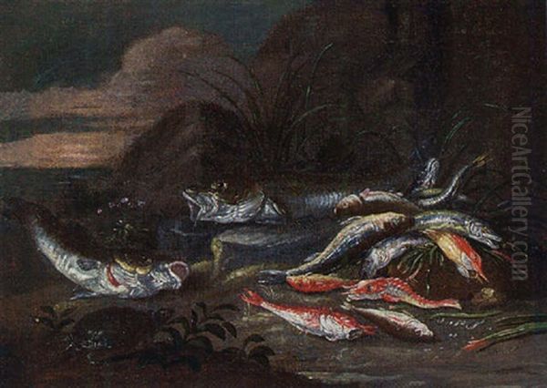 Dead Fish And A Tortoise On A River Bank Oil Painting by Jan van Kessel the Elder