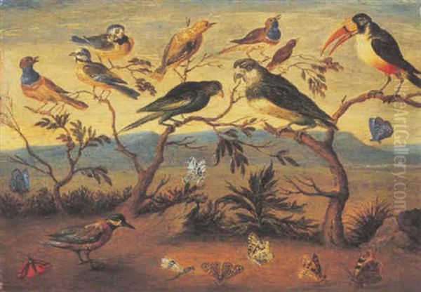 A Concert Of Birds Oil Painting by Jan van Kessel the Elder