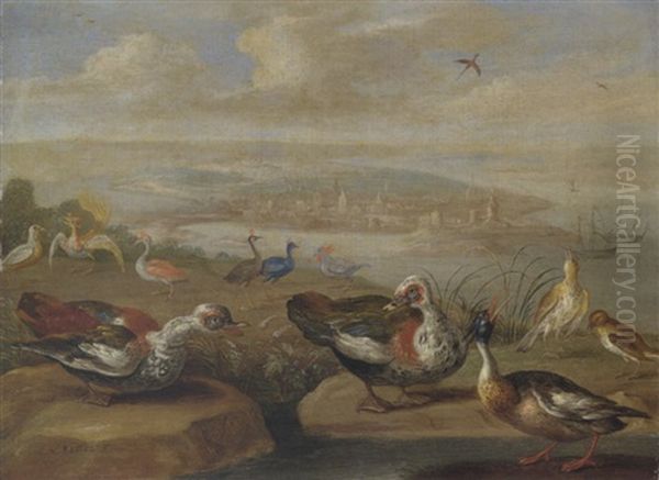 Ducks And Other Birds On The Seashore Oil Painting by Jan van Kessel the Elder