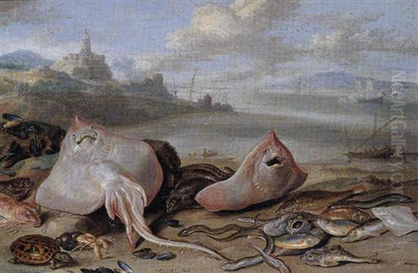 A Beach Scene With Rays, Eels, A Hermit Crab, Red Mullet, A Tortoise, And Other Fish Oil Painting by Jan van Kessel the Elder