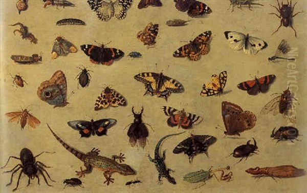 A Study Of Butterflies, Spiders, Lizards, A Beetle, An Ant, A Grasshopper And Other Insects Oil Painting by Jan van Kessel the Elder