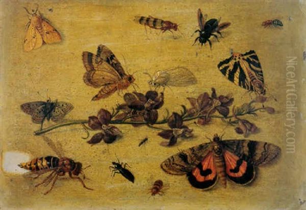 A Study Of A Sprig Of Flowers With Butterflies, Flies, Beetles And A Wasp Oil Painting by Jan van Kessel the Elder