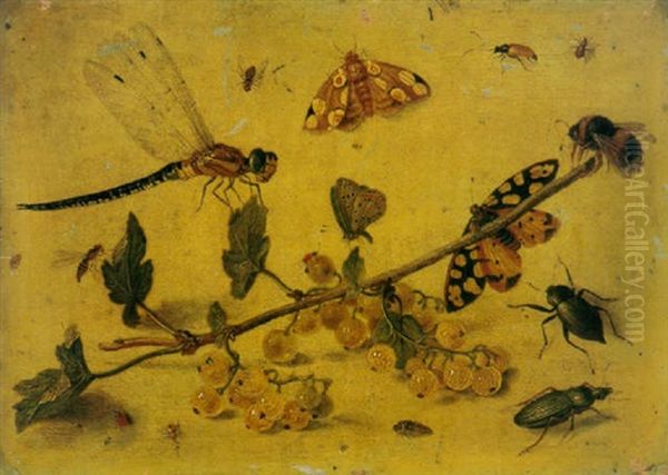 A Study Of A Sprig Of Gooseberries, A Dragonfly, Butterflies, Beetles, Spiders And A Bee Oil Painting by Jan van Kessel the Elder