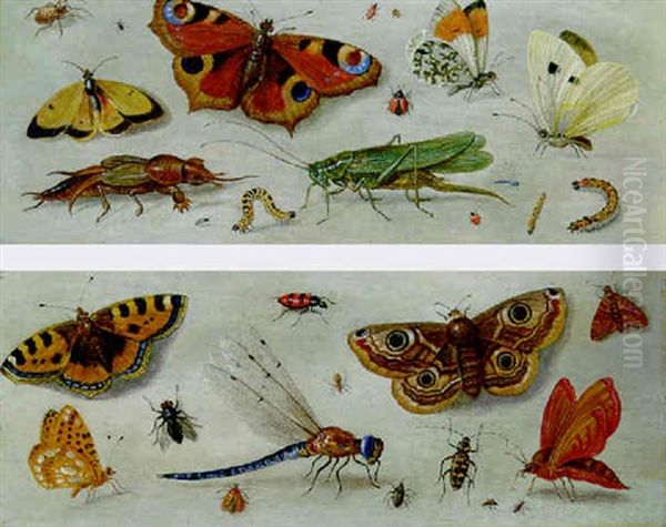 Butterflies, Moths, A Dragonfly, A Grasshopper And Other Insects Oil Painting by Jan van Kessel the Elder