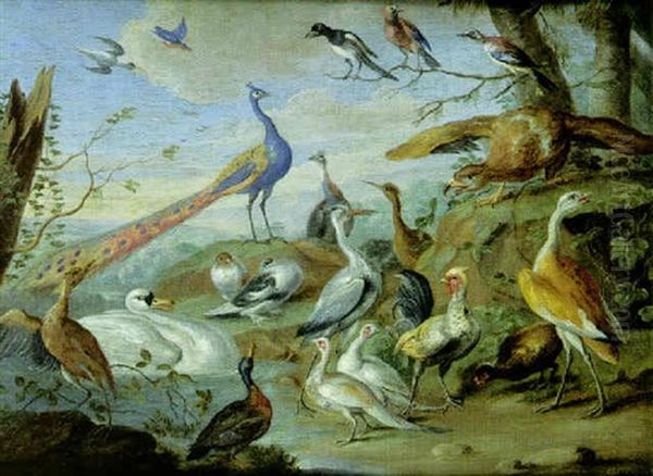 Aigle, Paons, Colombes Et Autres Oiseaux Pres D'une Rive Oil Painting by Jan van Kessel the Elder