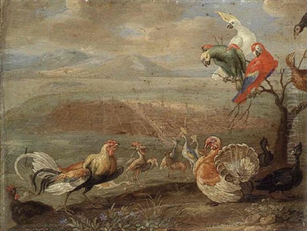 A Cockerel, A Turkey, A Cockatoo, Parrots And Other Birds In A Landscape, A City Beyond Oil Painting by Jan van Kessel the Elder