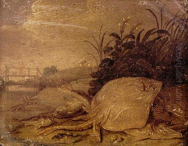 La Raie Sortie De La Riviere Oil Painting by Jan van Kessel the Elder