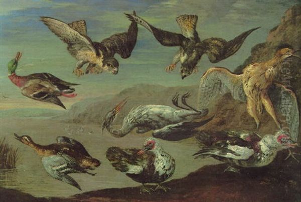 Birds Of Prey Attacking Herons And Ducks By A Pond Oil Painting by Jan van Kessel the Elder