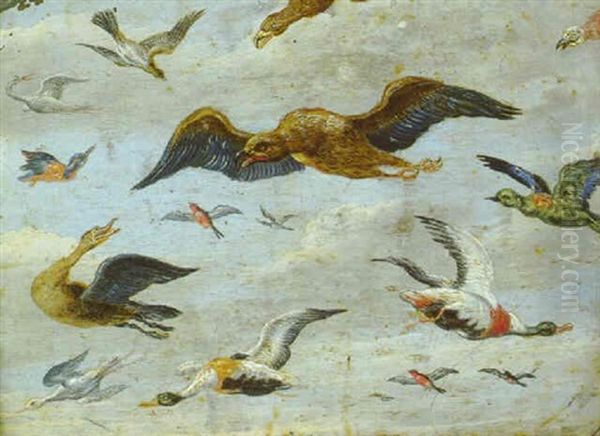 Oiseaux Sur Fond De Ciel Nuage Oil Painting by Jan van Kessel the Elder