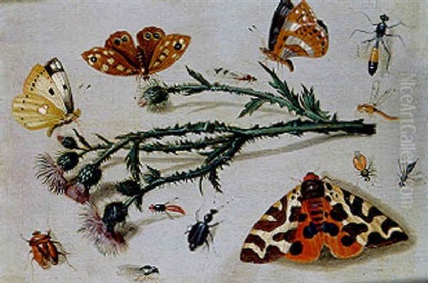 Etudes D'insectes Oil Painting by Jan van Kessel the Elder