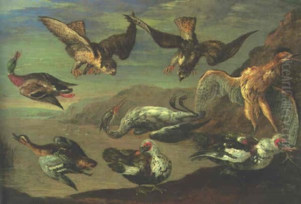 Birds Of Prey Attacking Herons And Ducks By A Pond Oil Painting by Jan van Kessel the Elder