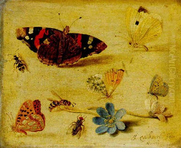 Butterflies, Insects And Flowers Oil Painting by Jan van Kessel the Elder