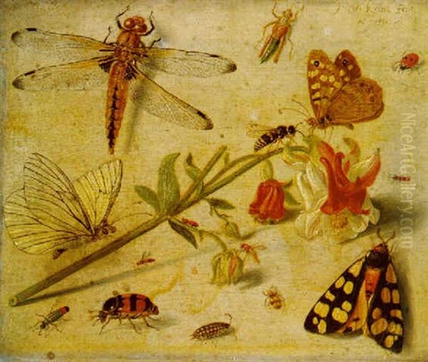 A Dragonfly, A Ladybird, A Moth, Butterflies, Insects And A Flower Oil Painting by Jan van Kessel the Elder