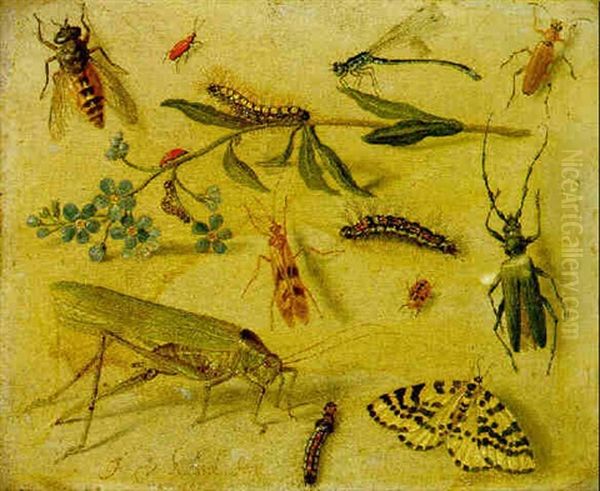 A Grasshopper, A Dragonfly, Caterpillars, Insects And A Forget-me-not Oil Painting by Jan van Kessel the Elder