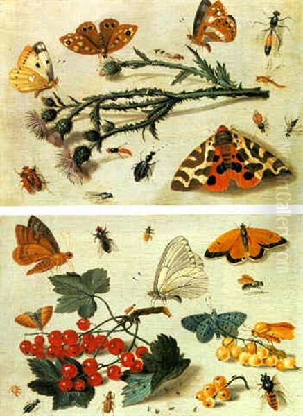 Two Studies Of Insects And Plants Oil Painting by Jan van Kessel the Elder