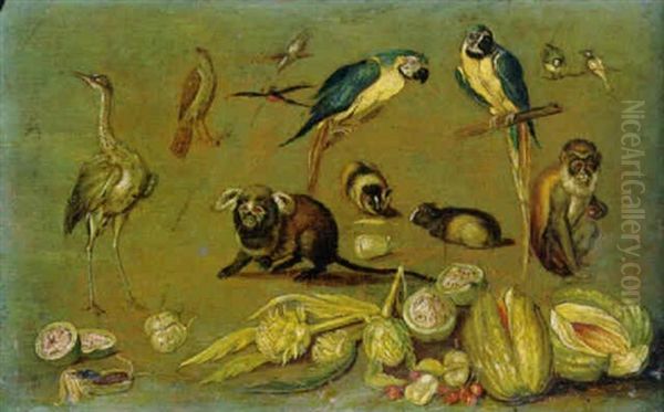 Parrots And Other Birds, Monkeys, Guinea Pigs, And Assorted Fruits And Vegetables by Jan van Kessel the Elder