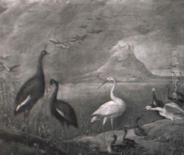 Cigogne Et Autres Oiseaux Dans Un Paysage De Lacs Oil Painting by Jan van Kessel the Elder