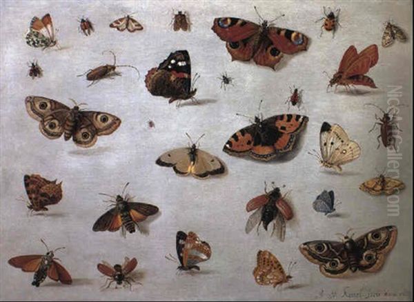 Butterflies, Moths And Beetles Oil Painting by Jan van Kessel the Elder