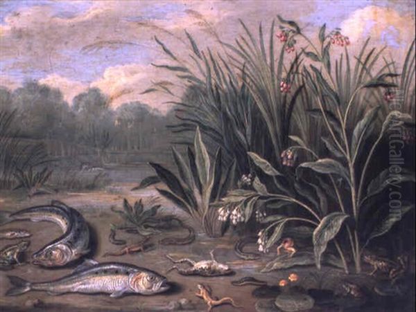 Poissons Et Batraciens S',battant Parmi Des Roseaux Oil Painting by Jan van Kessel the Elder