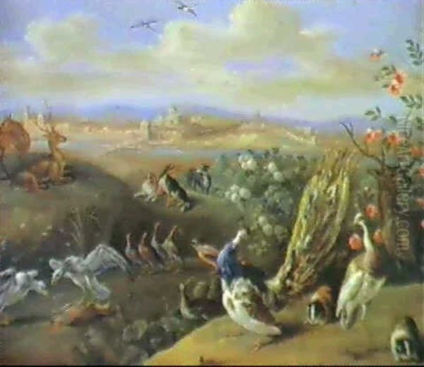 A Peacock, Other Large Birds...... Oil Painting by Jan van Kessel the Elder