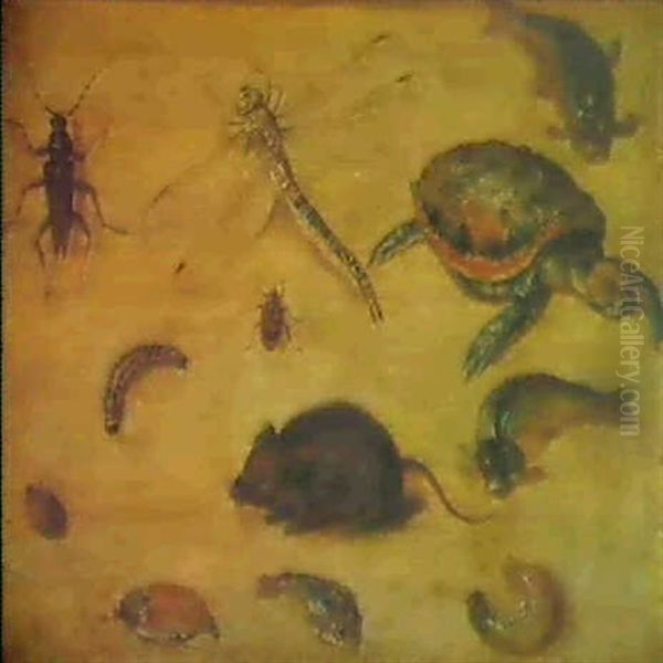 A Study Of Insects, Sea Creatures And A Mouse Oil Painting by Jan van Kessel the Elder