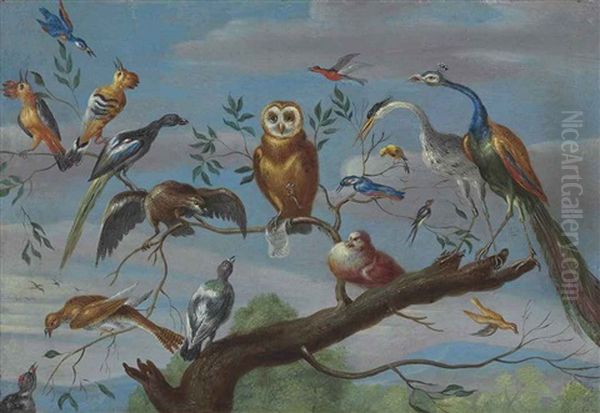 A Concert Of Birds: An Owl, Pigeon, Canary, Peacock And Other Birds On A Tree Branch Oil Painting by Jan van Kessel the Younger