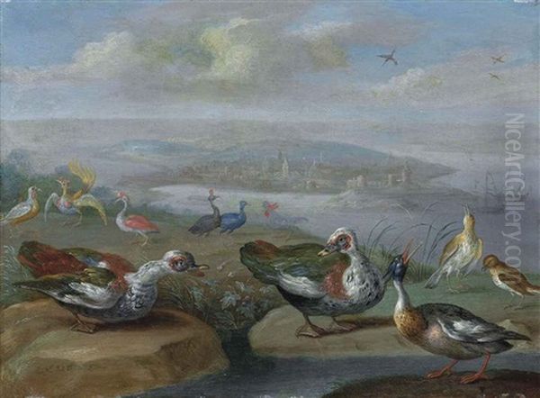 Two Egyptian Geese, A Red-brested Merganser And Other Birds On A Shore, A Town And Vessels Beyond Oil Painting by Jan van Kessel the Younger