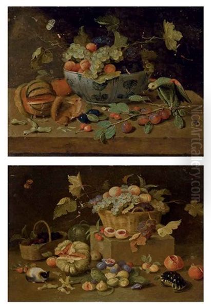 Fruits Dans Un Plat En Delft, Perroquet Et Ecureuil Sur Un Entablement (+ Un Panier De Fruits, Tortue Et Cochon D'inde, Lrgr; 2 Works) Oil Painting by Jan van Kessel the Younger