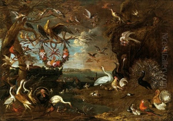 Eine Allegorie Des Malteserordens Mit Einem Adler, Reihern, Truthahnen, Einem Kakadu, Einem Loffelreiher, Einem Eichelhaher Und Anderen Vogeln In Einer Landschaft Oil Painting by Jan van Kessel the Younger