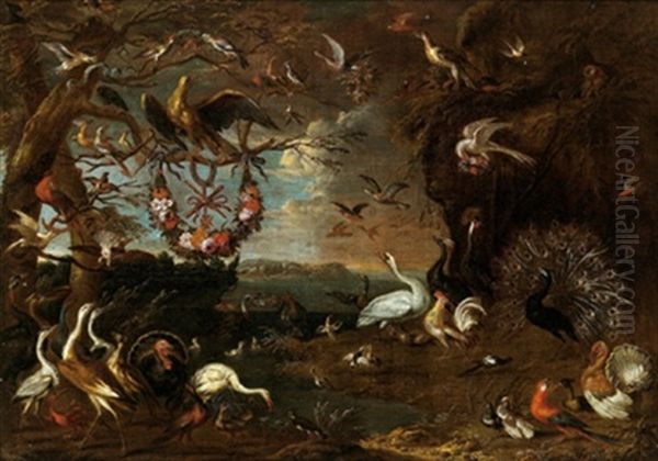 Eine Allegorie Des Malteserordens Mit Einem Adler, Reihern, Truthahnen, Einem Kakadu, Einem Loffelreiher, Einem Eichelhaher, Fasanen Und Anderem Federvieh In Einer Landschaft Oil Painting by Jan van Kessel the Younger