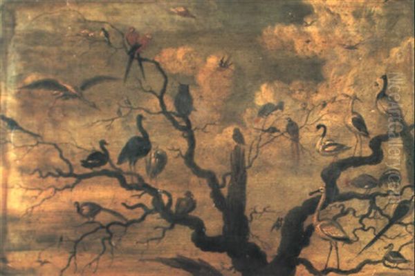 Birds Mobbing Owls Oil Painting by Jan van Kessel the Younger