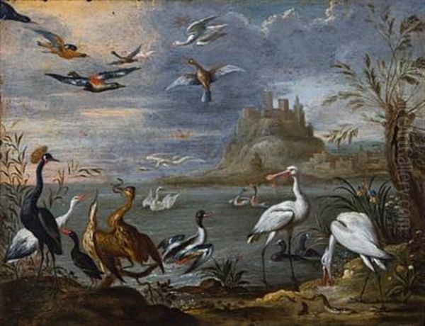 Eksotiske Fugler Ved Monemvassia Oil Painting by Ferdinand van Kessel