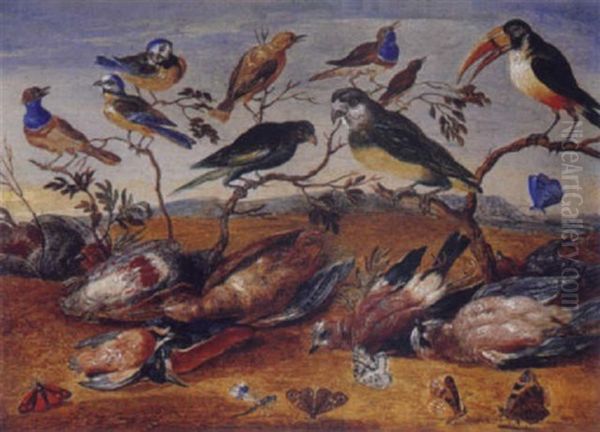 Concert D'oiseaux Oil Painting by Ferdinand van Kessel