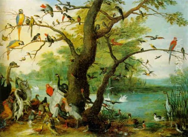 A Concert Of Birds Oil Painting by Ferdinand van Kessel