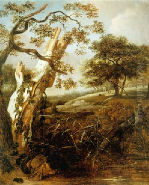 A Beech Stump In A Hilly Wooded Landscape Oil Painting by Jan van Kessel