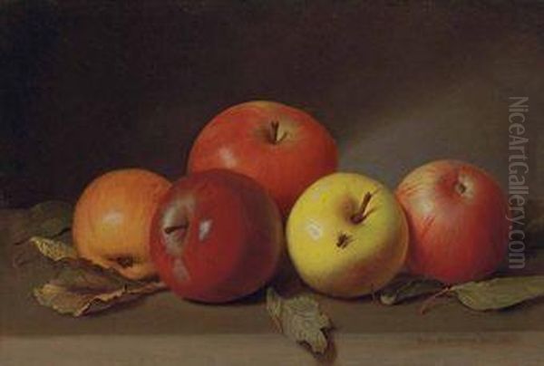 Still Life With Apples And Fly Oil Painting by Peter Baumgras