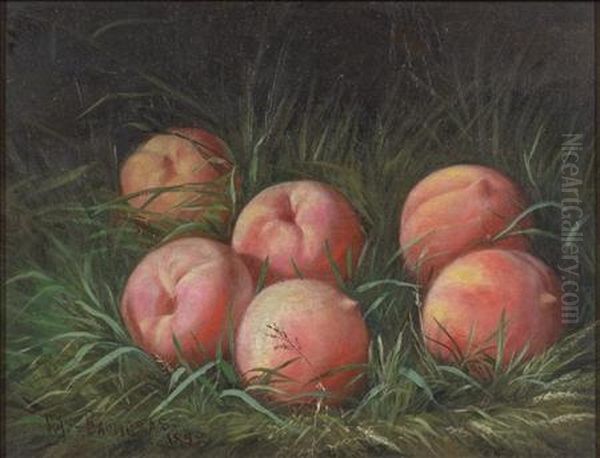 Still Life With Peaches Oil Painting by Peter Baumgras