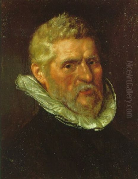 Portrait Of A Bearded Gentleman Wearing A Black Tunic And White Ruff Oil Painting by Cornelis Ketel