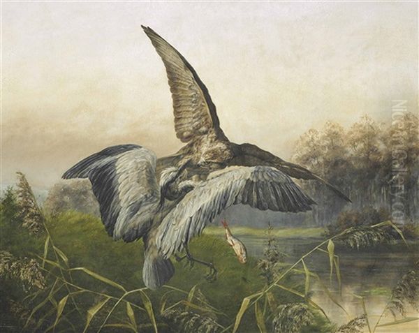 Hawk Attacking A Heron Oil Painting by Johannes Gerardus Keulemans